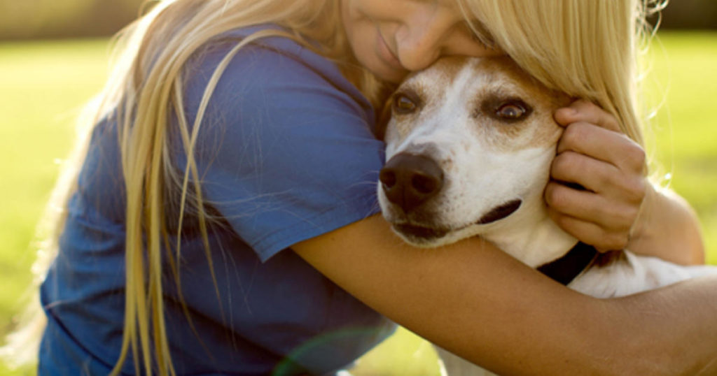 Was sind die Anzeichen einer Lebererkrankung bei Hunden? Haustiere Welt