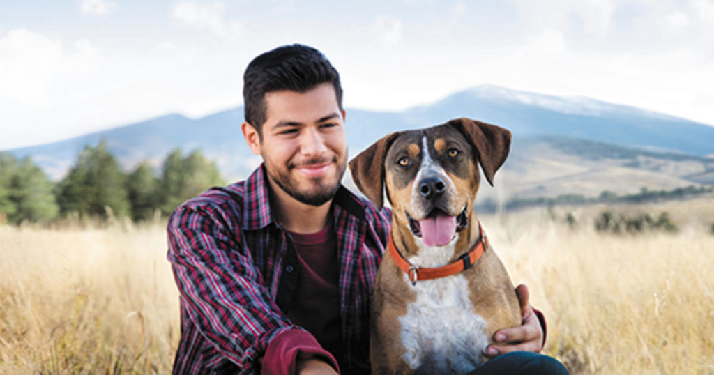 Können Hunde Nüsse und Samen essen? Haustiere Welt