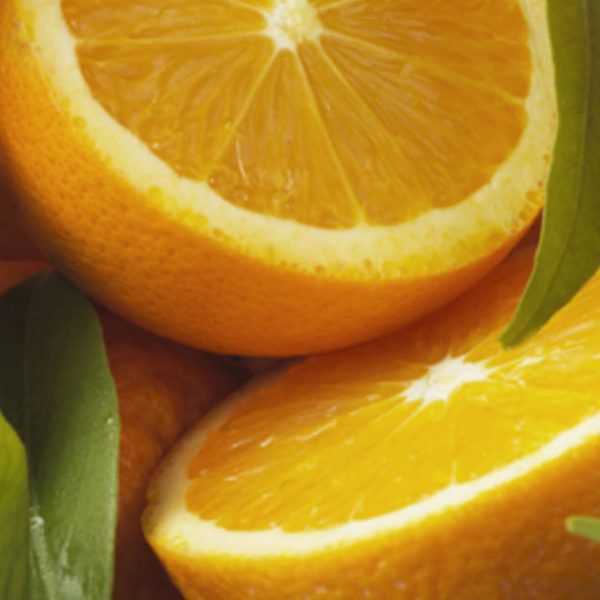 Können Hunde Orangen essen?
