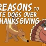 ten reasons to invite dogs for thanksgiving video thumbnail
