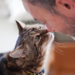 Katzennamen: Tipps zur Benennung Ihrer Katze