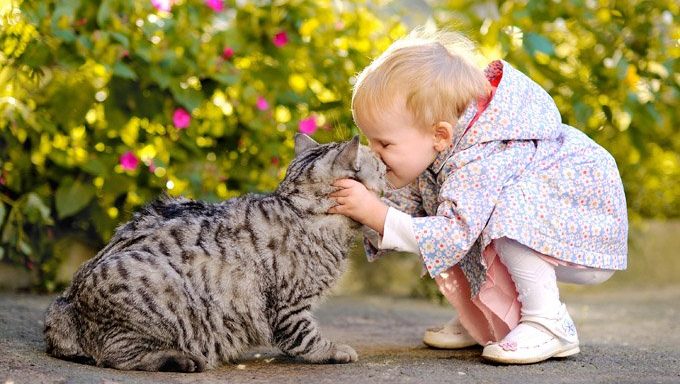 Kleinkind, das Katze küsst