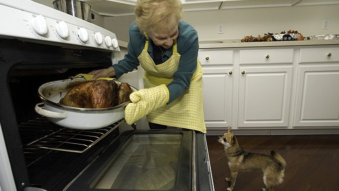 Hundeaufpassende Frau nehmen Truthahn aus Ofen