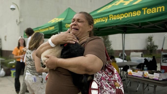 woman holds cats at natural disaster shelter