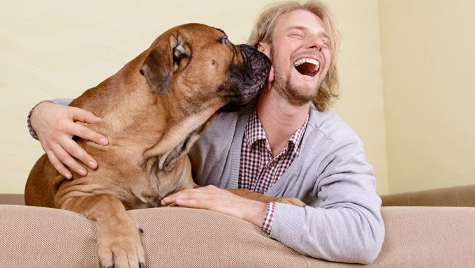 Mann lacht, während Hund sein Gesicht leckt