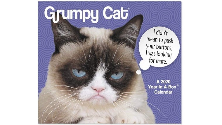 mürrischer Katzenkalender