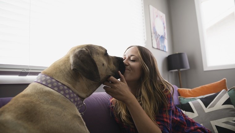 Frau, die Hund auf Wohnzimmersofa küsst