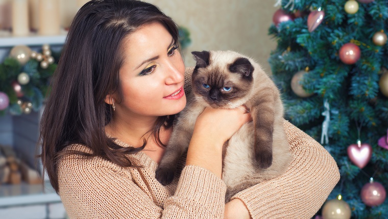 Recht junge Frau, die Katze gegen Weihnachtstannenbaum umarmt