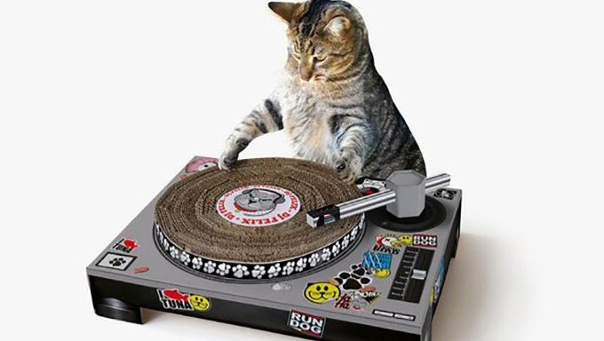 Katze DJ Scratcher