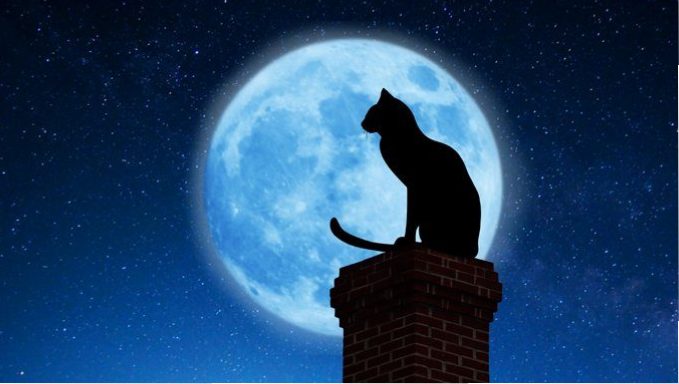 Katze am Schornstein vor Mond