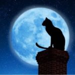 cat on chimney in front of moon
