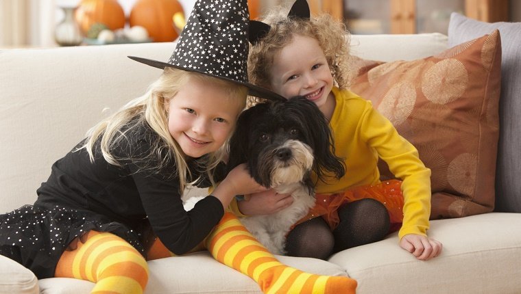 Caucasian girls in Halloween costumes hugging dog
