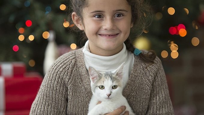 junges Mädchen, das Kätzchen durch Weihnachtsbaum hält