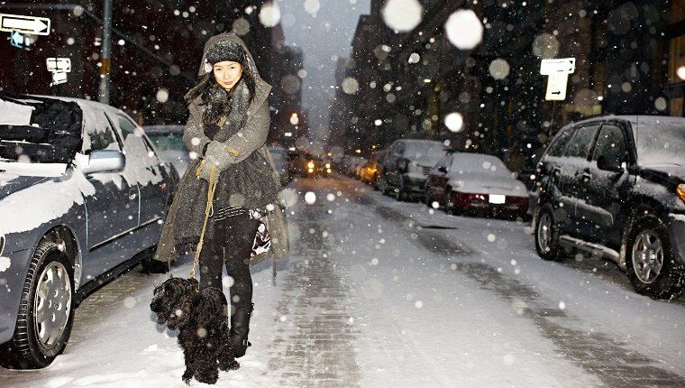 Gehender Hund der Frau im Schnee, New York City, USA