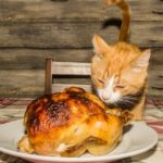 Cat eating roast turkey