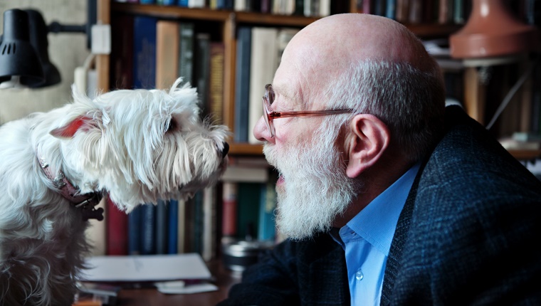 Älterer erwachsener Mann mit seinem Hund, Herz-zu-Herz-Gespräch.