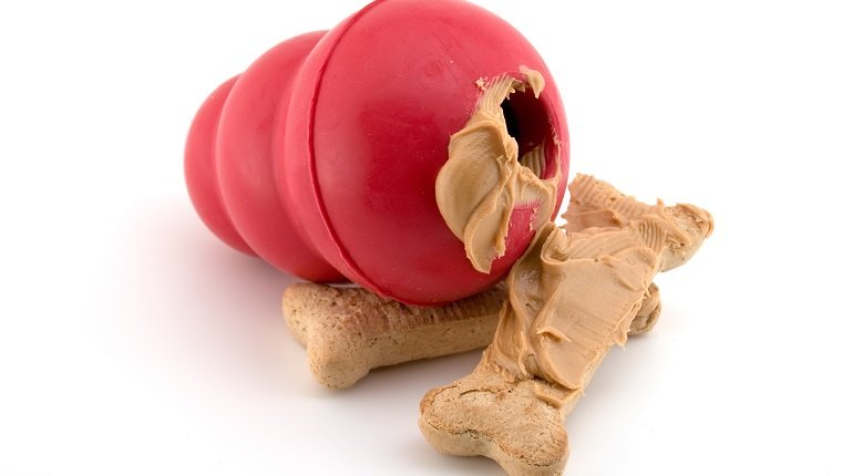 Rotes Gummihundespielzeug mit Erdnussbutter bedeckte die Hundeknochen, die auf Weiß lokalisiert wurden. Kopieren Sie Platz.