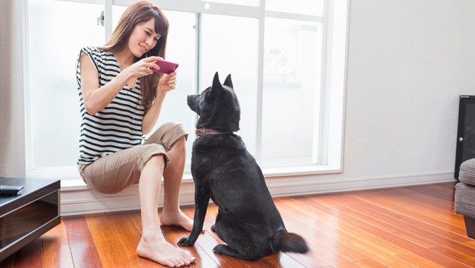 Woman photographing dog on camera phone