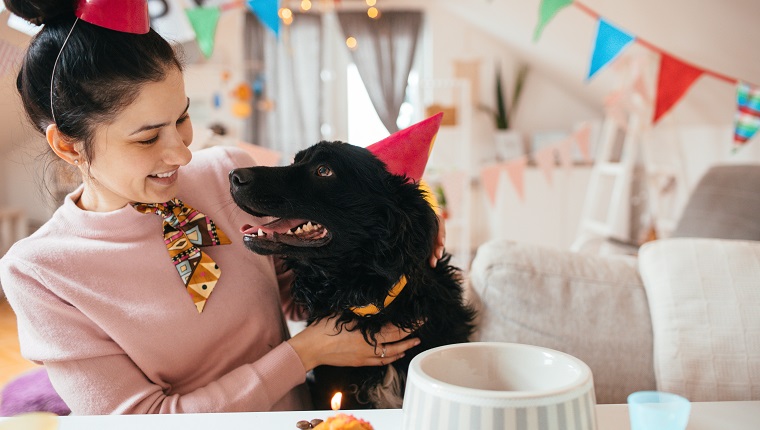 Junge Frau und ihr Hund, die zusammen Geburtstage feiert