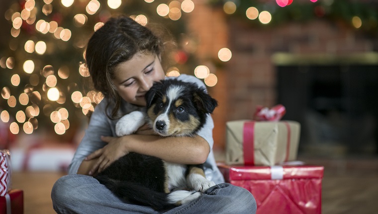 Ein junges Kind hat seinen neuen Welpen im Schoß und gibt dem Hund einen Kuss. Daneben liegen verpackte Geschenke. Im Hintergrund steht ein Weihnachtsbaum.