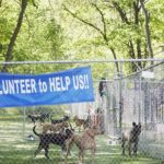 Animal shelter outdoors