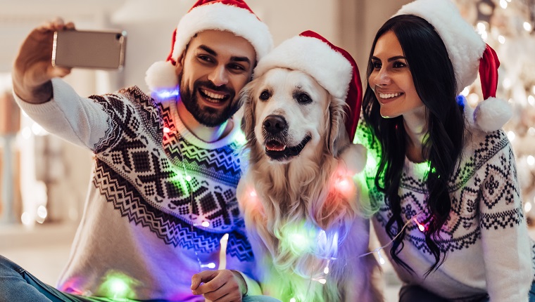 Frohe Weihnachten und ein glückliches Neues Jahr! Glückliches Paar mit dem Hundelabrador-Apportierhund, der auf das neue Jahr in Santa Claus-Hüten beim nahe schönem Weihnachtsbaum zu Hause sitzen wartet. Lächeln und Selfie machen