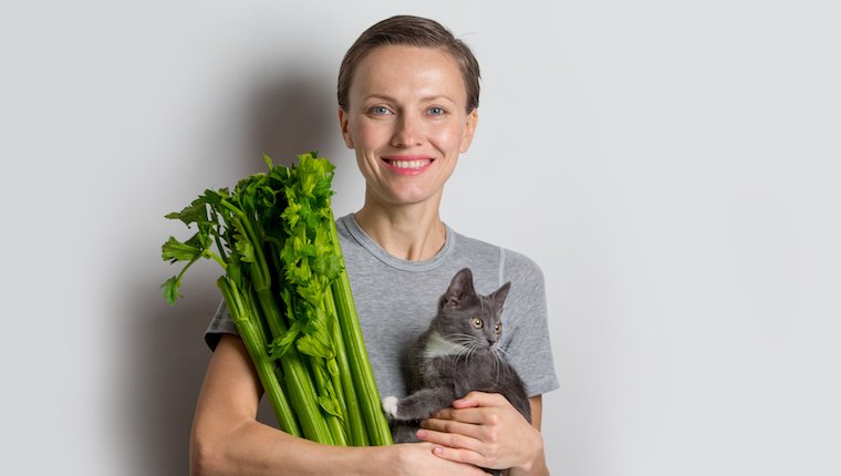 Konnen Katzen Sellerie Essen Ist Sellerie Sicher Fur Katzen Haustiere Welt