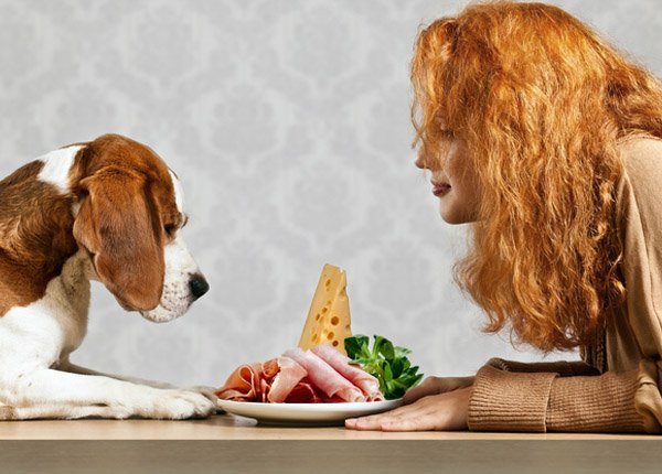 Dog presented with ham by young woman