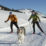 A couple and there dog skijoring in the western United States.