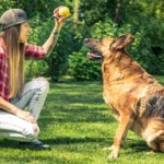 Young lady teach her dog obedience in home garden