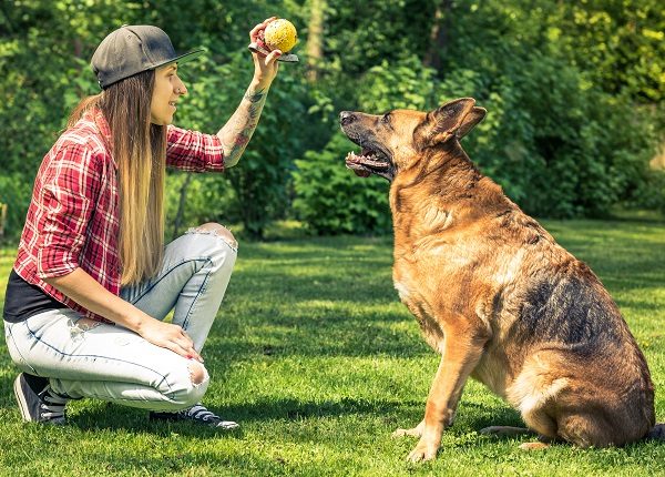 Young lady teach her dog obedience in home garden