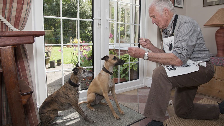 Ein älterer Mann bringt zwei Hunden bei, mit Leckereien und einem Clicker zu sitzen.