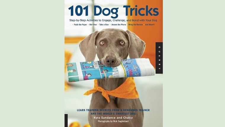 101 Hundetricks: Schritt für Schritt Aktivitäten, um sich mit Ihrem Hund zu beschäftigen, ihn herauszufordern und sich mit ihm zu verbinden