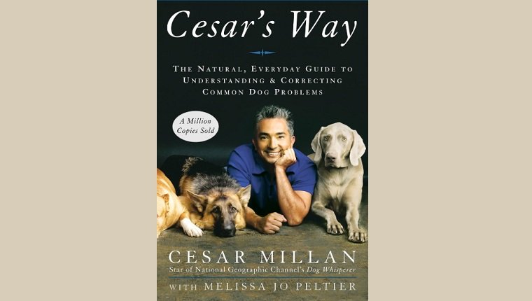 Cesar's Way: Der natürliche, alltägliche Leitfaden zum Verstehen und Korrigieren häufiger Probleme mit Hunden