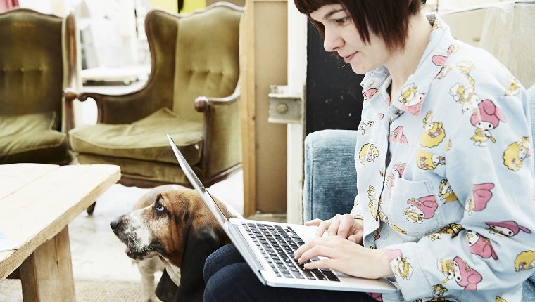 Junge Frau, die Laptop, Hund im Hintergrund verwendet