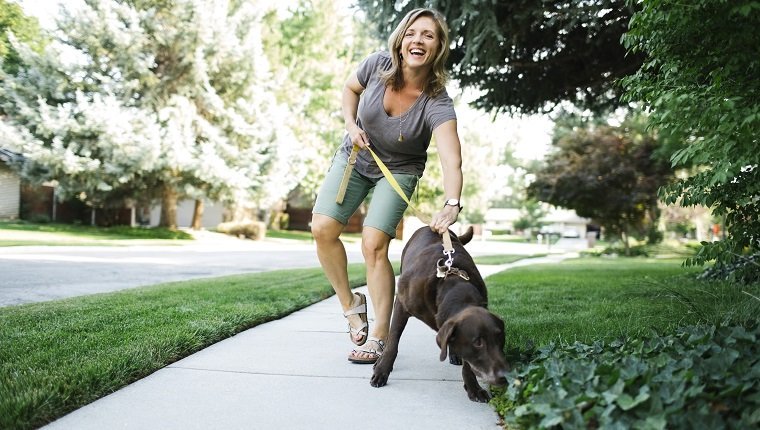 Woman walking with Labrador Retriever