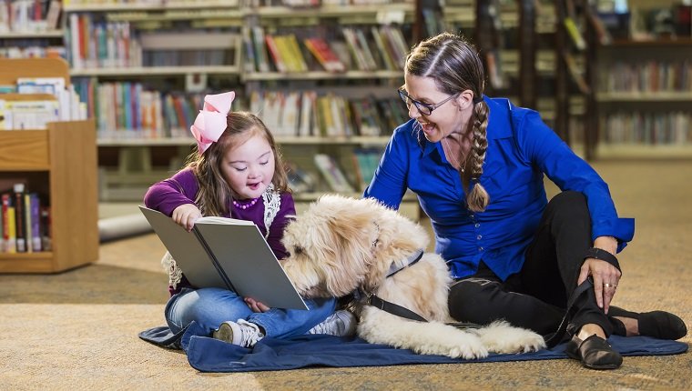 An 8 year old girl with down syndrome reading in the library, sitting next to a therapy dog and trainer, a mature woman in her 50s. The goldendoodle is trained as a reading assistance dog. The child is smiling as she holds the book up for the dog to read.