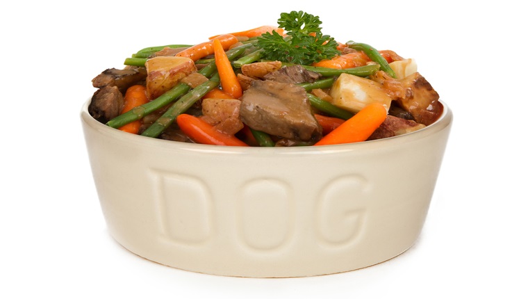 Haufen der Schüssel frischen selbst gemachten Hundefutters - Rindereintopf mit Karotten und grünen Bohnen
