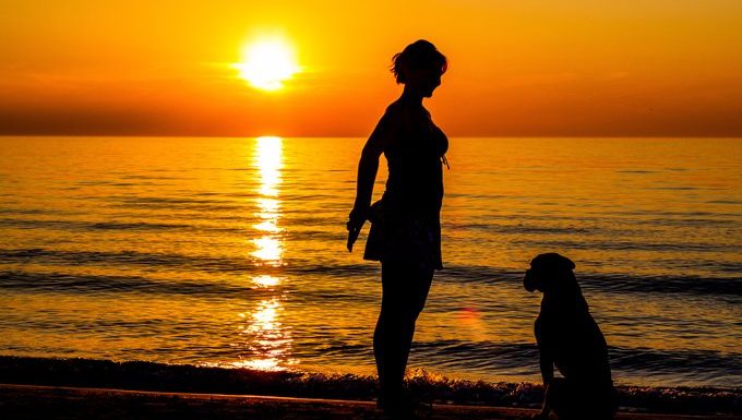 Frau, die einen Hund auf einem Strand bei Sonnenuntergang ausbildet