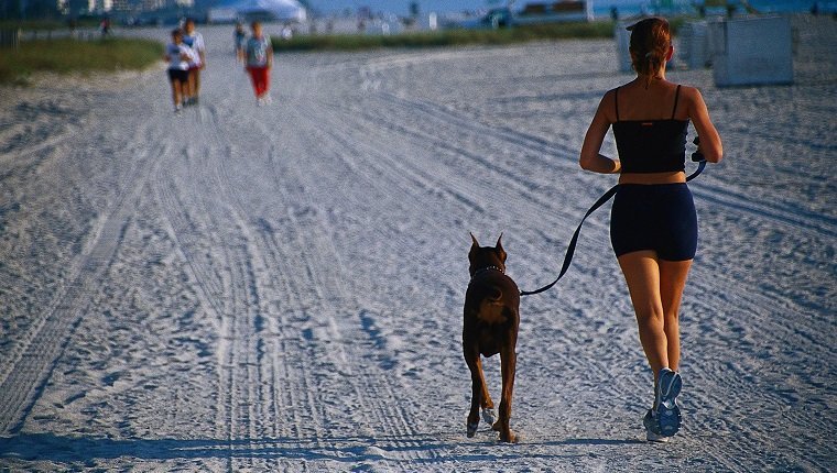 Joggerin & Hund am Strand, fl