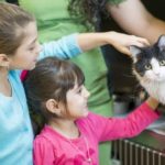 kids pet cat at a shelter