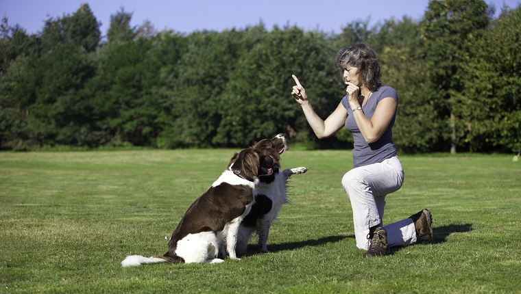 Eine Frau trainiert ihre zwei Hunde mit einer Pfeife