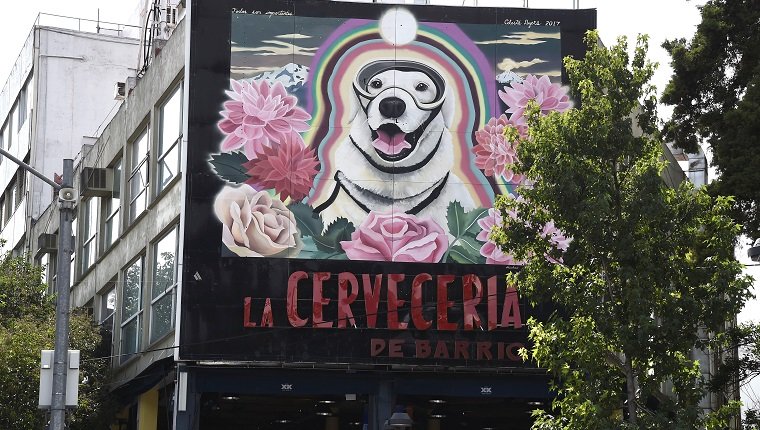   Ansicht einer großen Wandmalerei (R) zu Ehren von Frida, dem Rettungshund der mexikanischen Marine, am 10. Oktober 2017 in Mexiko-Stadt, drei Wochen nach dem Erdbeben, bei dem mehr als 300 Menschen ums Leben kamen. / AFP FOTO / ALFREDO ESTRELLA 