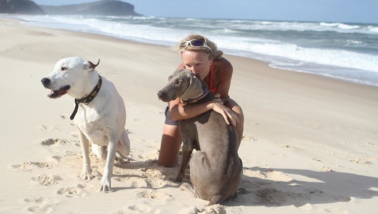 Reife Frau, die Hunde am Strand während Sunny Days verwöhnt