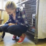Female volunteer petting a cat in animal shelter