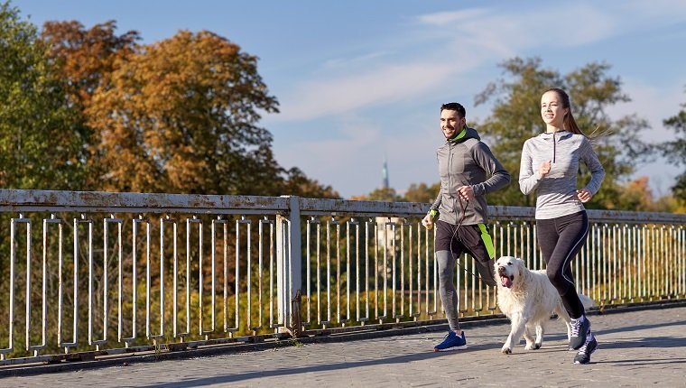 Fitness, Sport, Menschen und Lifestyle-Konzept - glückliches Paar mit Hund im Freien laufen