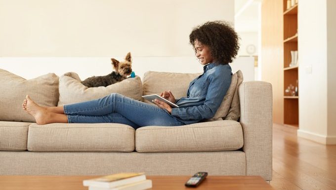 Hund sitzt auf der Couch neben dem Menschen
