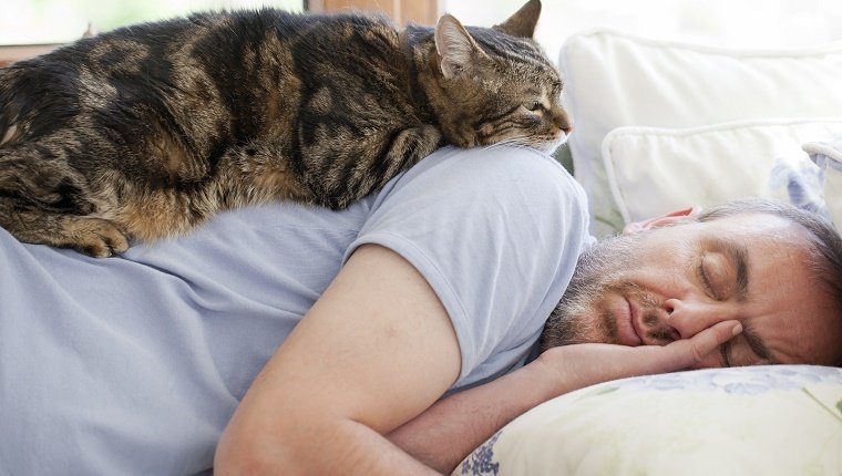 Mann und alte Katze: haben Vertrauen in - Vertrauen & Schlafen