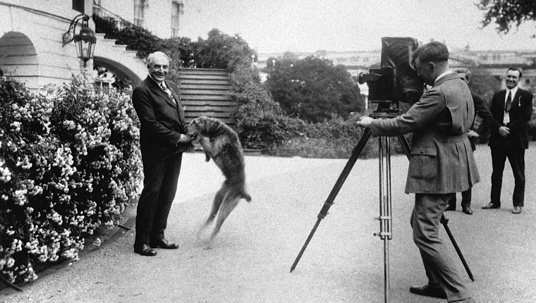 Präsident Warren G. Harding (1865-1923) spielt mit seinem Hund, während ein Fotograf ein Foto von ihm macht. Harding war der neunundzwanzigste Präsident der Vereinigten Staaten, der von 1921 bis zu seinem Tod 1923 im Amt war.