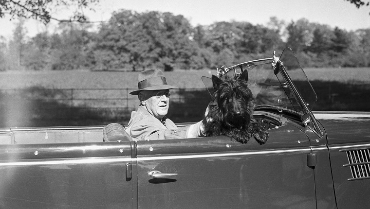 Präsident Roosevelt mit seinem Hund Fala